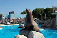 marineland rencontre avec les otaries