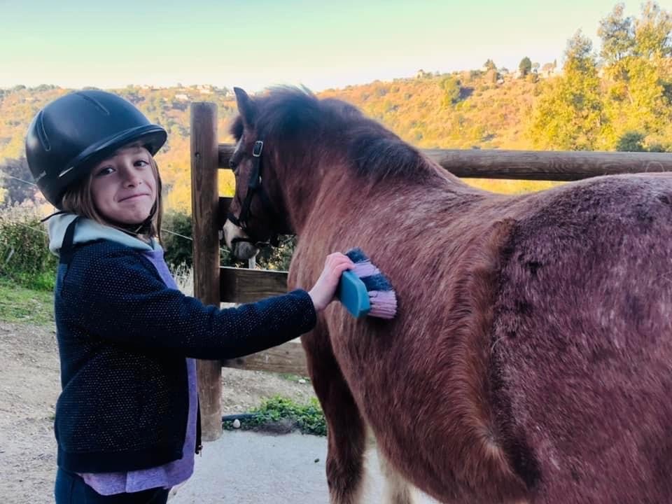 poney-club-nice-equitation-enfants-cours-stages