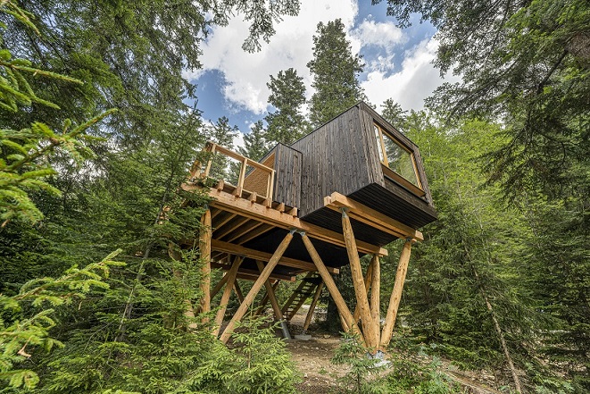 nuit-cabane-perchee-arbres-foret-alpes-maritimes-cote-azur-vacances-famille-enfants