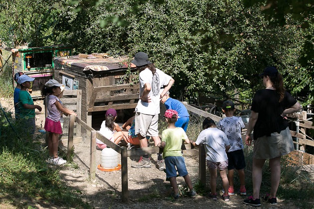 anniversaire-ferme-pedagogique-graines-de-fermiers