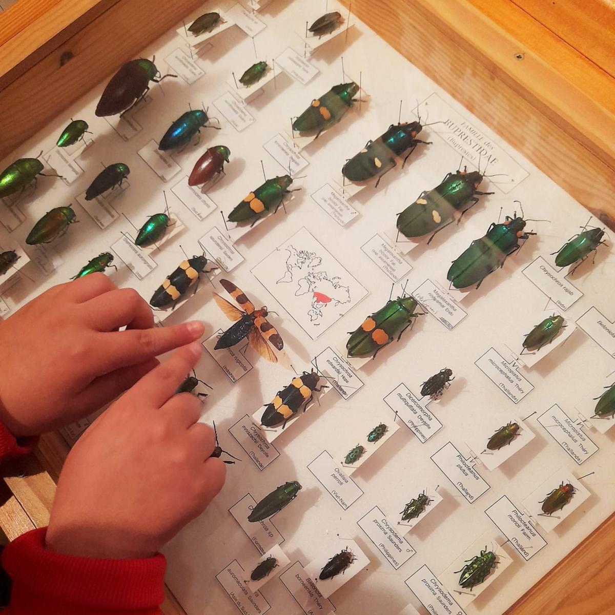 visite-chateau-musee-cote-azur-gratuit-tourrette-levens