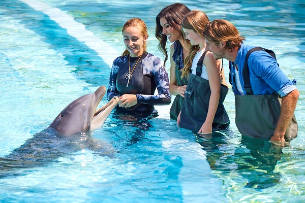 rencontre-avec-les-dauphins-marineland-zoo-marin-antibes