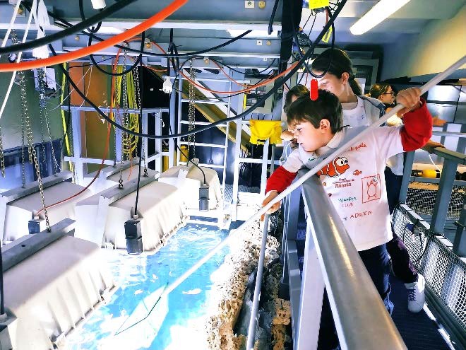 stage-vacances-pour-enfant-musee-oceanographique-aquarium-monaco