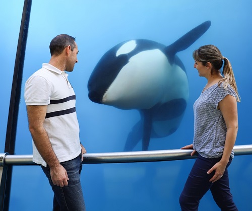 orque marineland-vacances-heures-ouverture-animaux-bassin