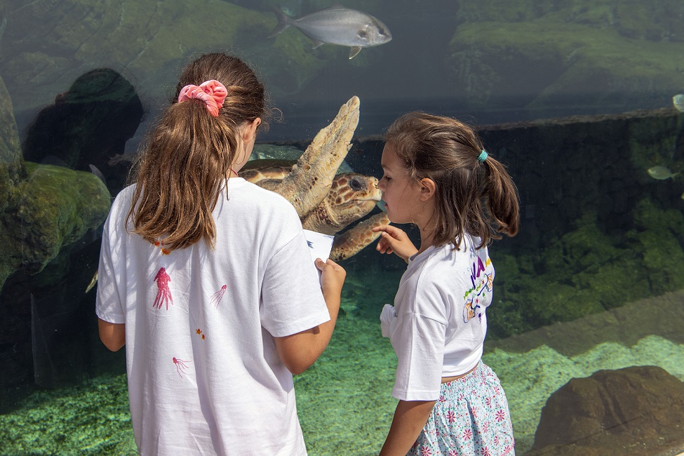 stage-vacances-scolaires-enfant-alpes-maritimes-activites-jeux