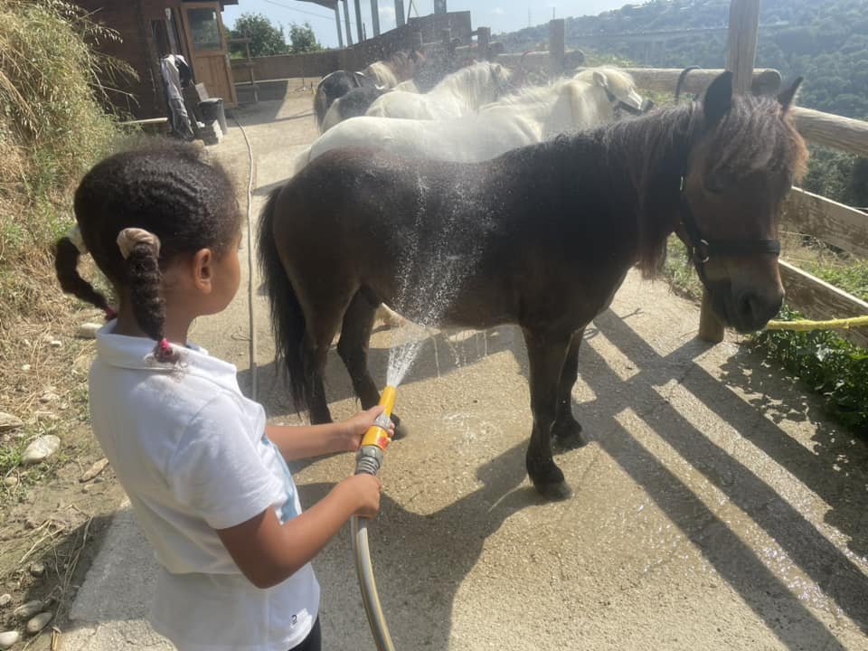 stage-activites-loisirs-nature-poneys-vacances-scolaires-nice-enfant