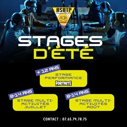 stages-vacances-nice-enfants-ados-adolescent-esport-jeux-video