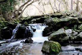 La Brague sortie-enfants-famille-brague-alpes-maritimes
