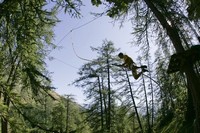 Accrobranche en famille idee-sortie-enfant-famille-parc-accrobranche