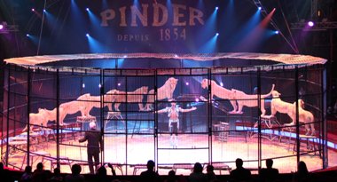 les fauves du cirque Pinder pinder-fauves-edelstein-lions-nice-prix