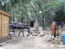 Centre equestre La Loubière à la Colle-sur-Loup activites-enfants-materiel-equitation-poney-selle