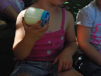 Ferme pédagogique à la Fête des Châtaignes de Cagnes-sur-mer ferme-pedagogique-anumaux-fete-chataigne-cagnes
