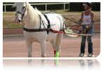bapteme-poney-enfant-fete-cheval-hipopodrome