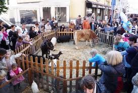 Animaux à la Fête de la Chataigne animaux-fete-chataigne-cagnes-sur-mer