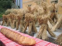 Fête du pain et des métiers d'antan loisirs-famille-riviera-french-kifs-fete