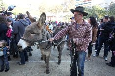 Balade sur dos d'âne pour enfants activite-famille-fete-chataigne-cagnes-enfants