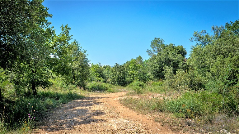 parc-sinodon-balade-famille-pique-nice-departement-06-alpes-maritimes