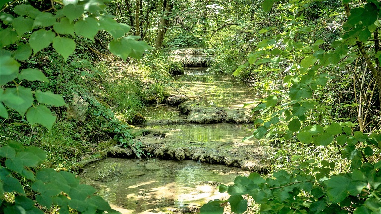 sortie-parc-alpes-maritimes-découverte-animaux-06