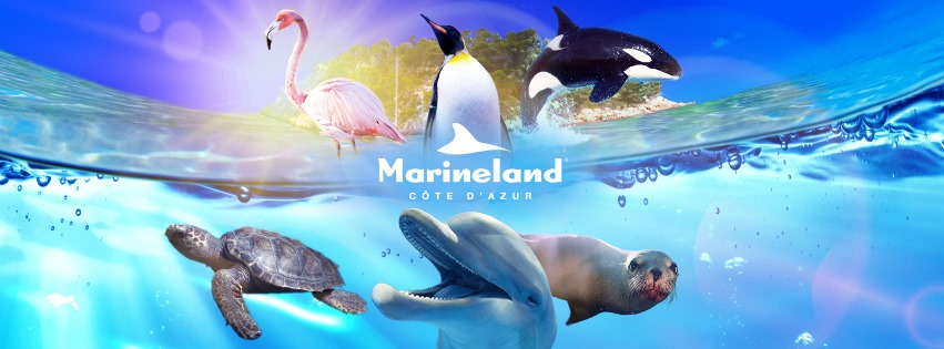 marineland-antibes-cote-azur-horaires-tarifs-spectacles-programme