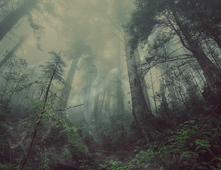 escape-game-legendary-vence-broceliande-foret