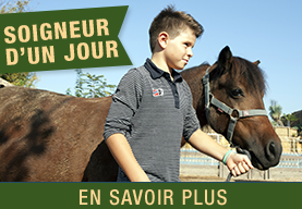 soigneur-un-jour-kids-island-enfant