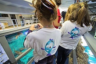 stage-vacances-enfants-monaco-musee-oceanographique