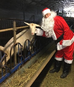 noel-ferme-chevrerie-bois-amon-06