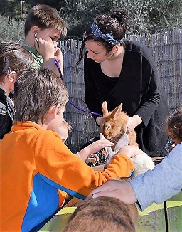 graines-fermiers-enfants-animaux-ferme-pedagogique-loisirs