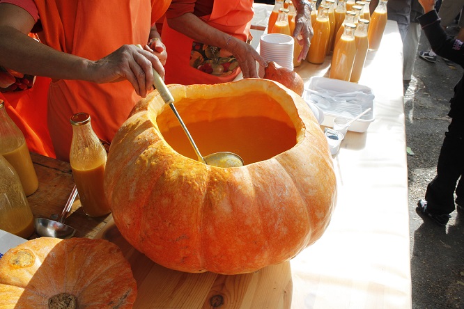 marche-produits-bio-courges-citrouilles-06