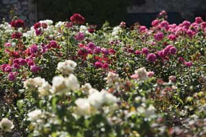 sortie-famille-enfants-antibes-exflora-fete-parc