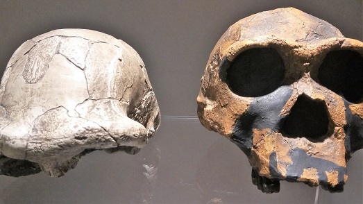 site-prehistorique-fouilles-cote-azur-nice