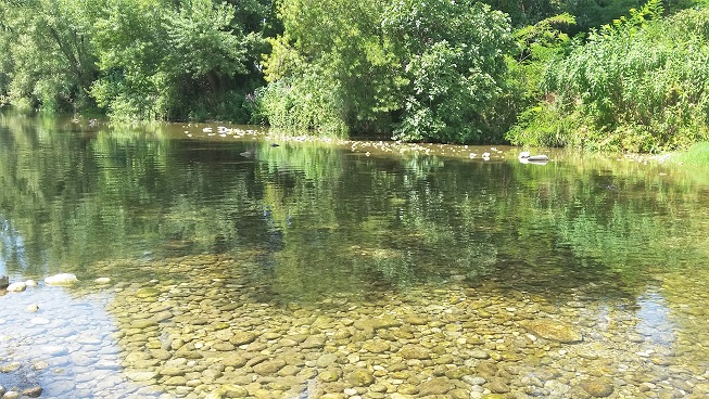 balade-rando-facile-famille-rives-loup-villeneuve-loubet-alpes-maritimes