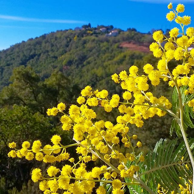 Circuit du Grand Duc à Mandelieu