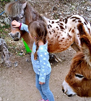 ferme-pedagogique-anniversaire-animaux-nice-escarene-alpes-maritimes