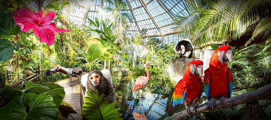 parc-phoenix-nice-animations-vacances-sortie-enfant