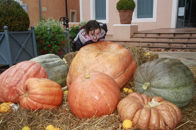 animations-citrouilles-enfants-fete-courge-06