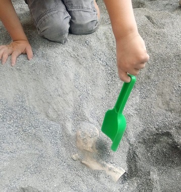 fouille-bac-enfants-fossiles-decouverte-jeu