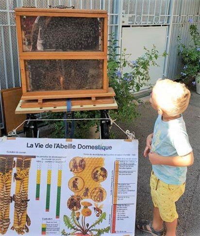 animations-ateliers-enfants-fete-miel-nice