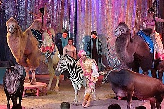 medrano-2017-rire-famille-sortie-nice