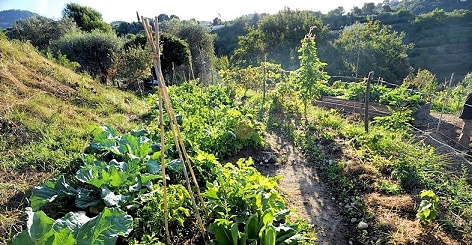 permaculture-jardins-partage-activites-enfants-06