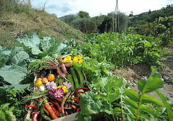 sortie-enfant-famille-nature-ferme-pegadogique