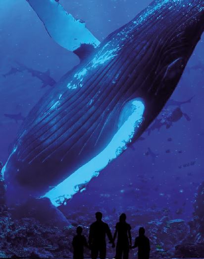 expo-immersion-enfants-famille-musee-monaco