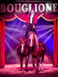 cirque-numero-spectacle-chevaux-dessage-artiste