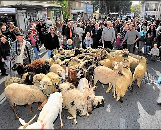 Animaux à la Fête de la Châtaigne de Cagnes-sur-mer fete-chataigne-cagnes-sur-mer-animaux