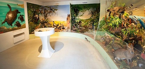 musee-alpes-maritimes-06-cote-azur