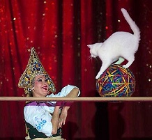 sortir-06-cote-azur-cirque-medrano-programme