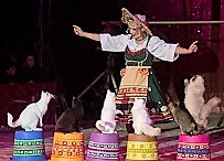 sortie-famille-nice-enfants-spectace-rire