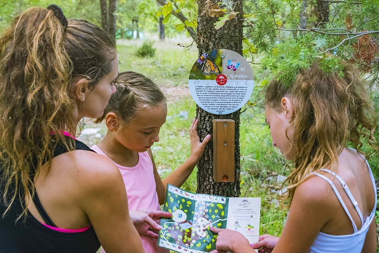 course-orientation-foret-famille-parc-83