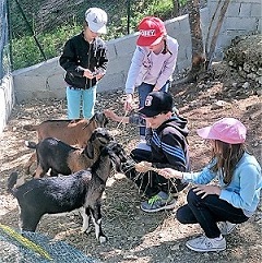 ferme-pegagogique-graines-fermiers-enfants-peille