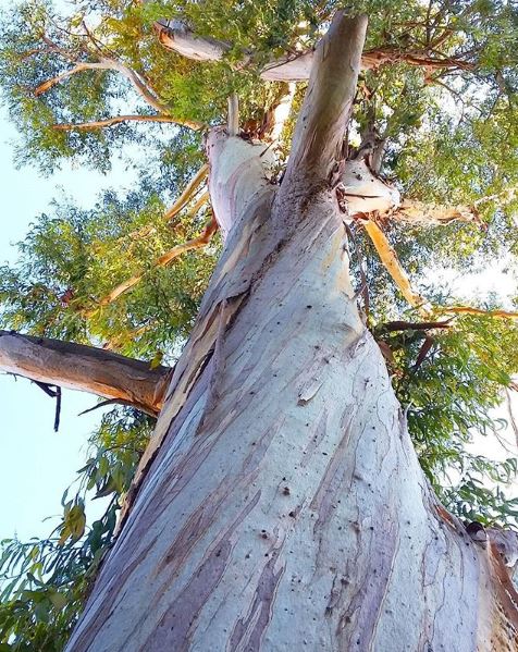 Banc au Parc Estiennes d'Orves activites-enfants-parc-jeux-balade-nice